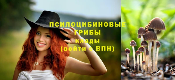 тгк Белокуриха