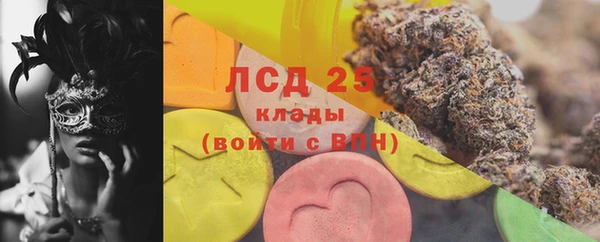 ГАЛЛЮЦИНОГЕННЫЕ ГРИБЫ Беломорск