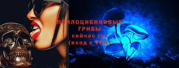 ГАЛЛЮЦИНОГЕННЫЕ ГРИБЫ Беломорск