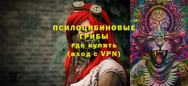 ГАЛЛЮЦИНОГЕННЫЕ ГРИБЫ Беломорск