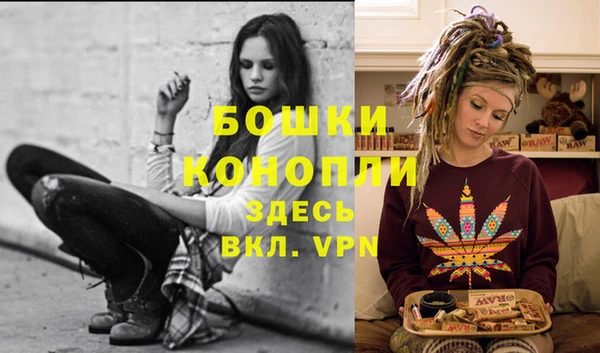 ГАЛЛЮЦИНОГЕННЫЕ ГРИБЫ Беломорск