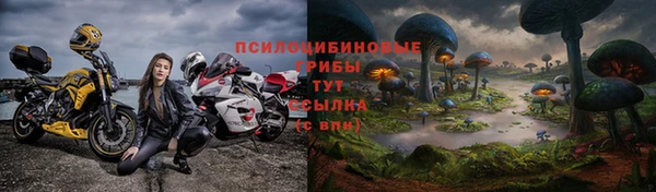 ГАЛЛЮЦИНОГЕННЫЕ ГРИБЫ Беломорск