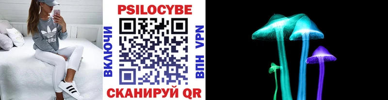 купить закладку  Кола  Псилоцибиновые грибы Psilocybe 